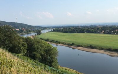 Vom Jagdrevier zum Weinberg